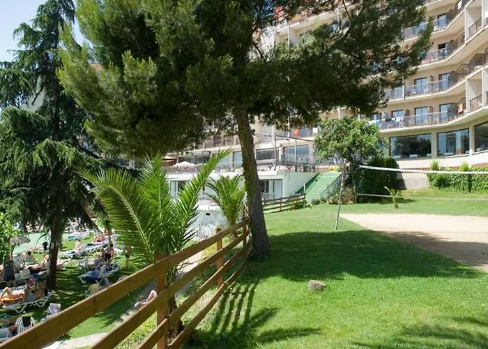 Hotel Samba 3*